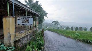 Heavy rain all day in the Indonesian villagefeels comfortable to sleepindoculture