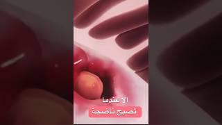 رحلة البويضة نحو التخصيب #shorts