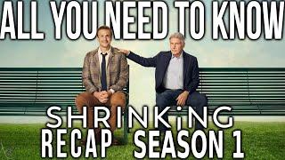 Shrinking   Season 1 Recap