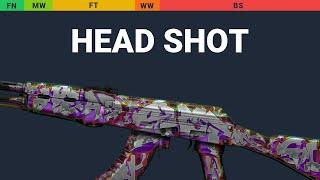 AK-47 Head Shot - Skin Float And Wear Preview