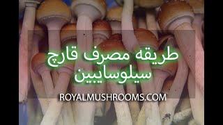 طریقه مصرف ماشروم - قارچ جادویی