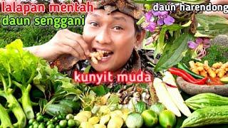 LALAP BATANG DAN DAUN PEPAYA MENTAH JENGKOL MUDA DAUN SENGGANI KUNYIT MUDA SAMBAL TERASI IKAN ASIN