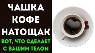 Вот что будет с организмом если выпивать кофе натощак Для здоровья и долголетия