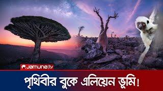 মহাজাগতিক সৌন্দর্যে পরিপূর্ণ  দ্বীপ সুকাত্রা  Socotra  Alien Island  Jamuna TV