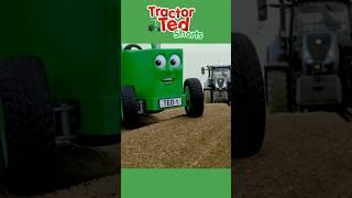 Potato Planting Big Machine  Tractor Ted Shorts  Tractor Ted Official Channel