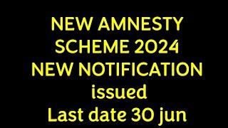 new amnesty scheme 2024