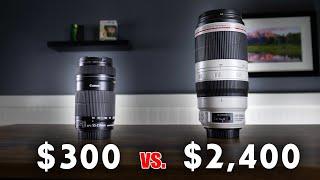 $300 Wildlife Lens vs. $2400 Wildlife Lens - Is there really a difference??