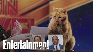 Captain Marvels Cat Goose A Purrfect Interview  Entertainment Weekly