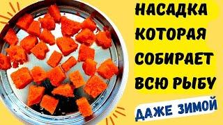 Несбиваемая насадка для рыбалки которая собирает много рыбы даже зимой. @Roma_Luk