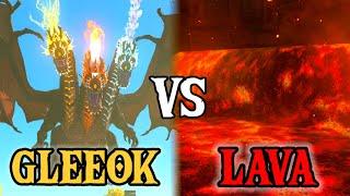 Dropping a GLEEOK in LAVA  Zelda Tears of the Kingdom