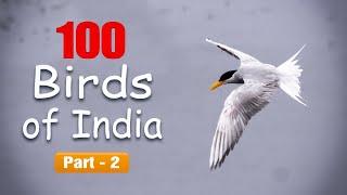 100 birds of India  - Part 2 - Learn names and facts about different types of birds found in India.