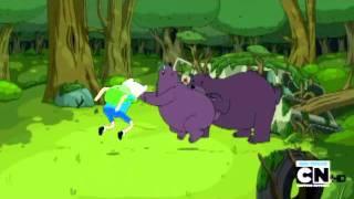 Adventure Time - Finn fights a bear