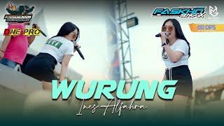 INES ALFAHRA - WURUNG  KRADENAN REBOUND x ONE PRO  FASKHO SENGOX AUDIO  ELITGM