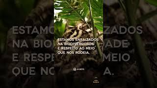 #avatim do #brasil para o #mundo #sustentável #qualidade #natural #meioambiente