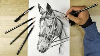  رسم سهل  رسم  بقلم الرصاص how to draw horse drawing easy step by step  drawing  dibujo