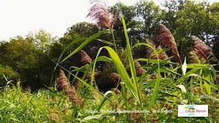 Creuse Nature  Ecolabel Clef Verte Green Waste Water Treatment