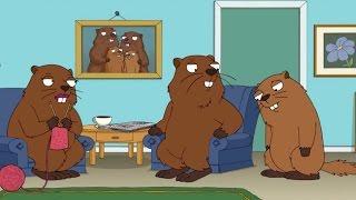 Family Guy - Woodchuck who Wants to be a Doctor