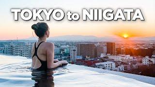 Must Visit Spots in the City & Countryside in Japan TOKYO  NIIGATA