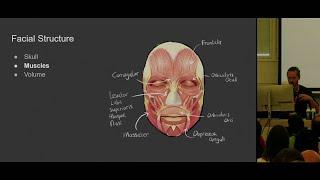 Tackling Facial Animation