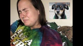 STORYTIME ... DOG ATE AN EDIBLE... HE ALMOST DIED