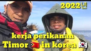 kerja fishing di korea