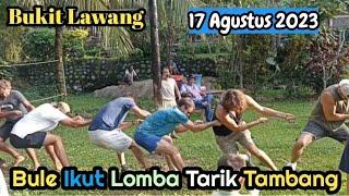 Kocak Bule Lomba Tarik Tambang 17 Agustus 2023 Di Wisata Bukit Lawang Sumatera Utara - HUT RI 78