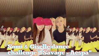 Somi & Giselle dance challenge  Savage - AESPA  Tik Tok Complication