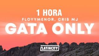 1 HORA FloyyMenor - Gata Only ft. Cris MJ LetraLyrics
