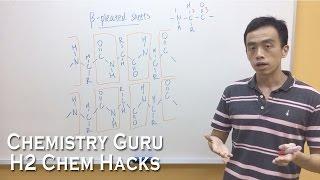 How to draw Beta Pleated Sheets for Secondary Structure of Proteins - H2ChemHacks