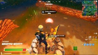  FORTNITE  Ember Stage 5 of 5 - Heal from a Campfire