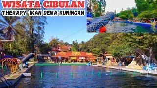 TEMPAT WISATA CIBULAN KUNINGAN WISATA HITS KUNINGAN ADA IKAN DEWA DI KOLAM RENANG