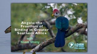 Angola the Frontiers of Birding in Greater Southern Africa