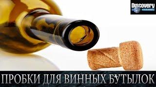 Пробки для винных бутылок - Из чего это сделано .Discovery channel