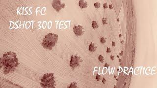 Testing DSHOT300 Kiss FC Flow Practice