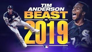 Tim Anderson 2019 Highlights Tearing it up