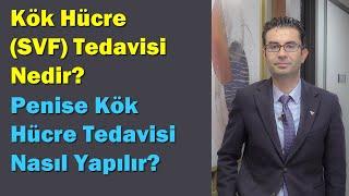 Kök hücre SVF tedavisi nedir? Penise #kökhücre tedavisi nasıl yapılır? Doç. Dr. Muhsin Balaban