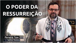 O Poder da Ressurreição - Parashá Tsav 20215781 - Matheus Zandona