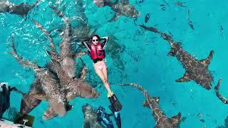 Maldives on a Budget - Part 1   Morena Girl Ph Adventures