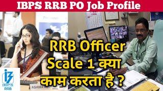 IBPS RRB PO Job Profile  RRB Officer Scale 1 job profile  Assistant Manager  RRB recruitment 2021