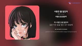 NB ㅜㅠ - 사랑인 줄 알았어  가사 Lyrics