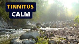 Tinnitus Relief Sound Therapy  Ambient River White Noise