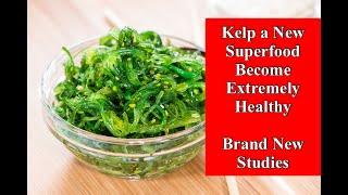 Kelp a New Superfood - Become Extremely Healthy - New Studies