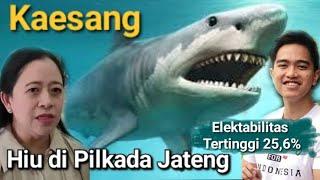 KAESANG MELEJIT ELEKTABILITASNYA DARI HASIL SURVEY LSI PUAN PERTIMBANGKAN USUNG KAESANG