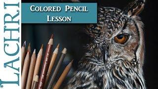 How to draw a realistic owl in colored pencil -  Lachri