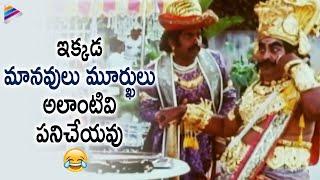 Kaikala Satyanarayana & Brahmanandam Superb Comedy Scene  Yamaleela Movie  Ali Kota Srinivasa Rao