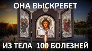 Если Бог добрый почему мы так страдаем?. Она выскребет из тела 100 недугов.