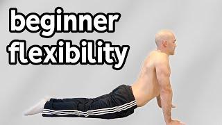 Beginner Stretches For Flexibility Full Routine