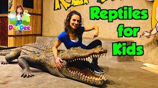 Reptiles for Kids  Educational Videos