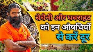 बेचैनी और घबराहट को दूर करने के लिए करें इन आयुर्वेदिक औषधियों का सेवन  Swami Ramdev