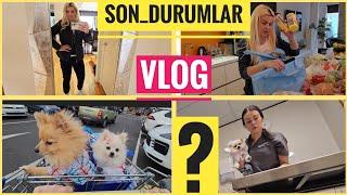 Yeni VLOG Gurbetci anne günlüğü Gurbetçi aile yeni bir gün